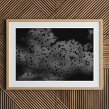 Flock of Birds at Dusk - Black & White Art Print, 30x20’’ / 76x51cm / Natural Frame / 2’’ Matboard, Framed Black White Photograph Flock