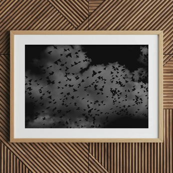 Flock of Birds at Dusk - Black & White Art Print, 30x20’’ / 76x51cm / Natural Frame / 2’’ Matboard, Framed Black White Photograph Flock