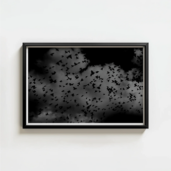 Black-framed Artwork Monochrome Photograph Numerous Birds Flight Dark White Art Print, Gray Canopy, Surge