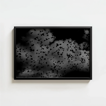 Black-framed Artwork Flock Birds Grayscale Dark Clouds White Art Print, Gray Canopy, Surge