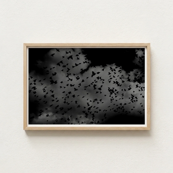 Minimalist Wooden-framed Black-and-white Art Print Flock Birds Flight White, Gray Canopy, Surge