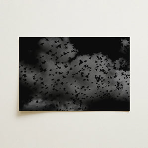 Flock of Birds at Dusk - Black & White Art Print / Canvas, 18x12’’ / 46x31cm / Unframed / no Border, Posters Prints Visual Artwork, Toby