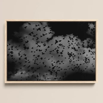 Flock of Birds at Dusk - Black & White Art Print / Canvas Black-and-white Framed Artwork Flock Birds Flight Dramatic Clouds White Art