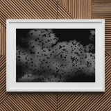 Flock of Birds at Dusk - Black & White Art Print / Canvas Framed Black White Photograph Flock Birds Cloudy Sky Art Print, Gray Canopy, Surge