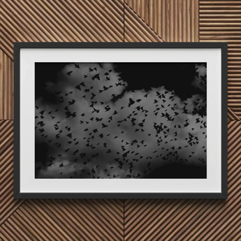 Flock of Birds at Dusk - Black & White Art Print / Canvas Framed Black White Photograph Flock Birds Cloudy Sky Art Print, Gray Canopy, Surge