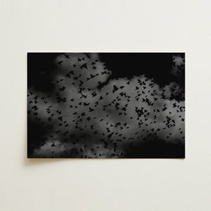 Flock of Birds at Dusk - Black & White Art Print / Canvas 18x12’’ / 46x31cm / Unframed / no Border Black Gray Photographic Print Flock