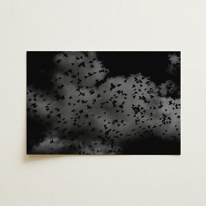 Flock of Birds at Dusk - Black & White Art Print / Canvas Black Gray Photographic Print Flock Birds Flight Dark White Art Print, Canopy,