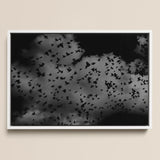 Flock of Birds at Dusk - Black and White Framed Canvas, 18x12’’ / 46x31cm / Floating Frame, Framed Black White Photograph Flock Birds