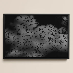 Flock of Birds at Dusk - Black and White Framed Canvas, 18x12’’ / 46x31cm / Floating Frame, Black White Framed Canvas Print Flock Birds