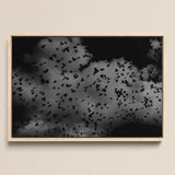 Flock of Birds at Dusk - Black and White Framed Canvas, 18x12’’ / 46x31cm / Natural Floating Frame, Framed Black White Artwork Flock Birds
