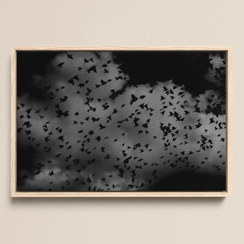 Flock of Birds at Dusk - Black and White Framed Canvas, 18x12’’ / 46x31cm / Natural Floating Frame, Framed Black White Artwork Flock Birds