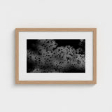 Flock of Birds at Dusk - Black & White Art Print / Canvas, Gray Canopy, Surge Prints