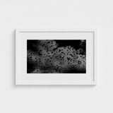 Flock of Birds at Dusk - Black & White Art Print / Canvas, Gray Canopy, Surge Prints