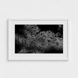 Flock of Birds at Dusk - Black & White Art Print / Canvas, Gray Canopy, Surge Prints