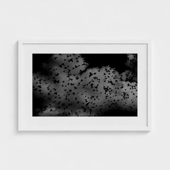 Flock of Birds at Dusk - Black & White Art Print / Canvas, Gray Canopy, Surge Prints