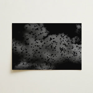 Flock of Birds at Dusk - Black & White Art Print / Canvas, Gray Canopy, Surge Prints