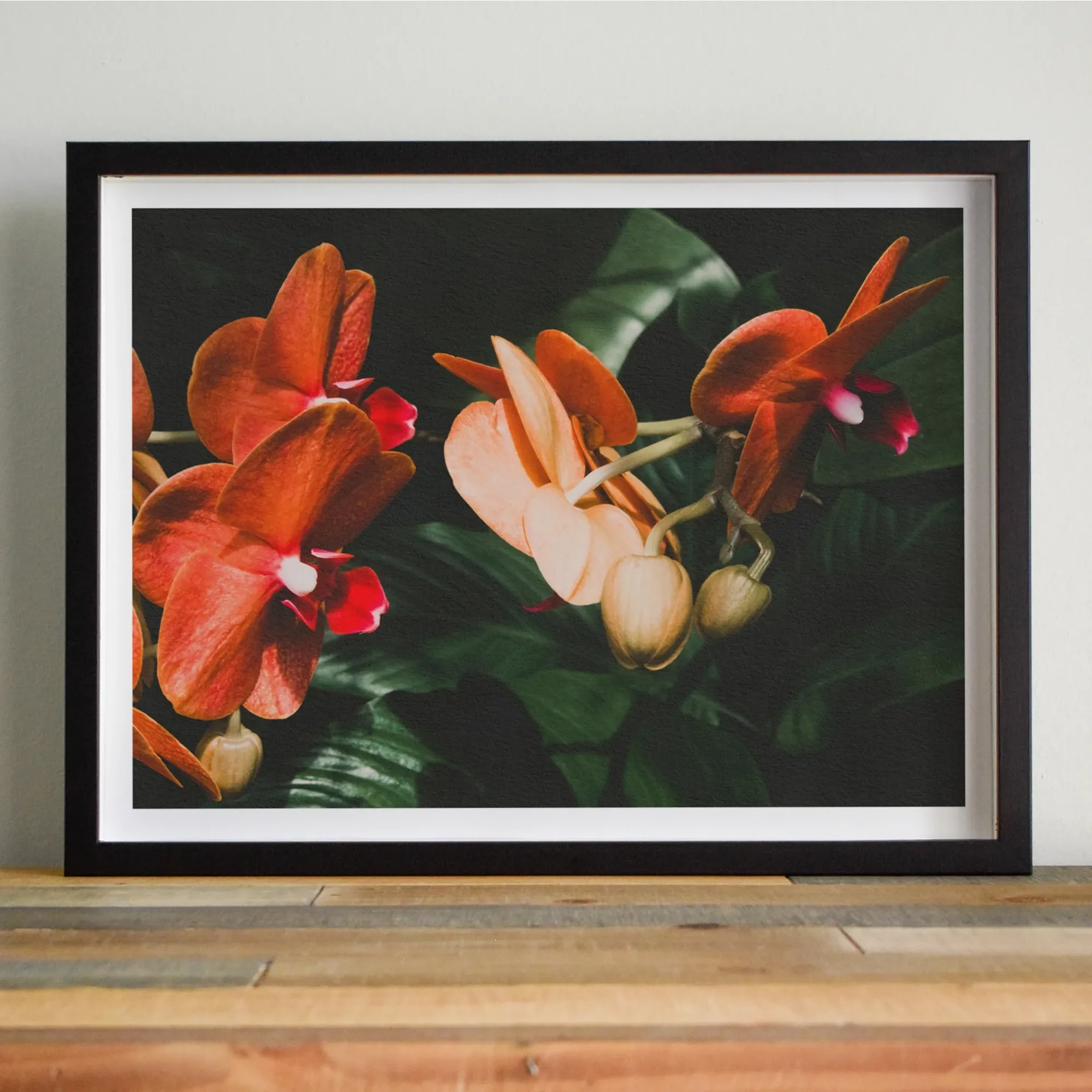 Floral Coral Fine Art Print - Posters Prints & Visual Artwork - Aesthetic Art