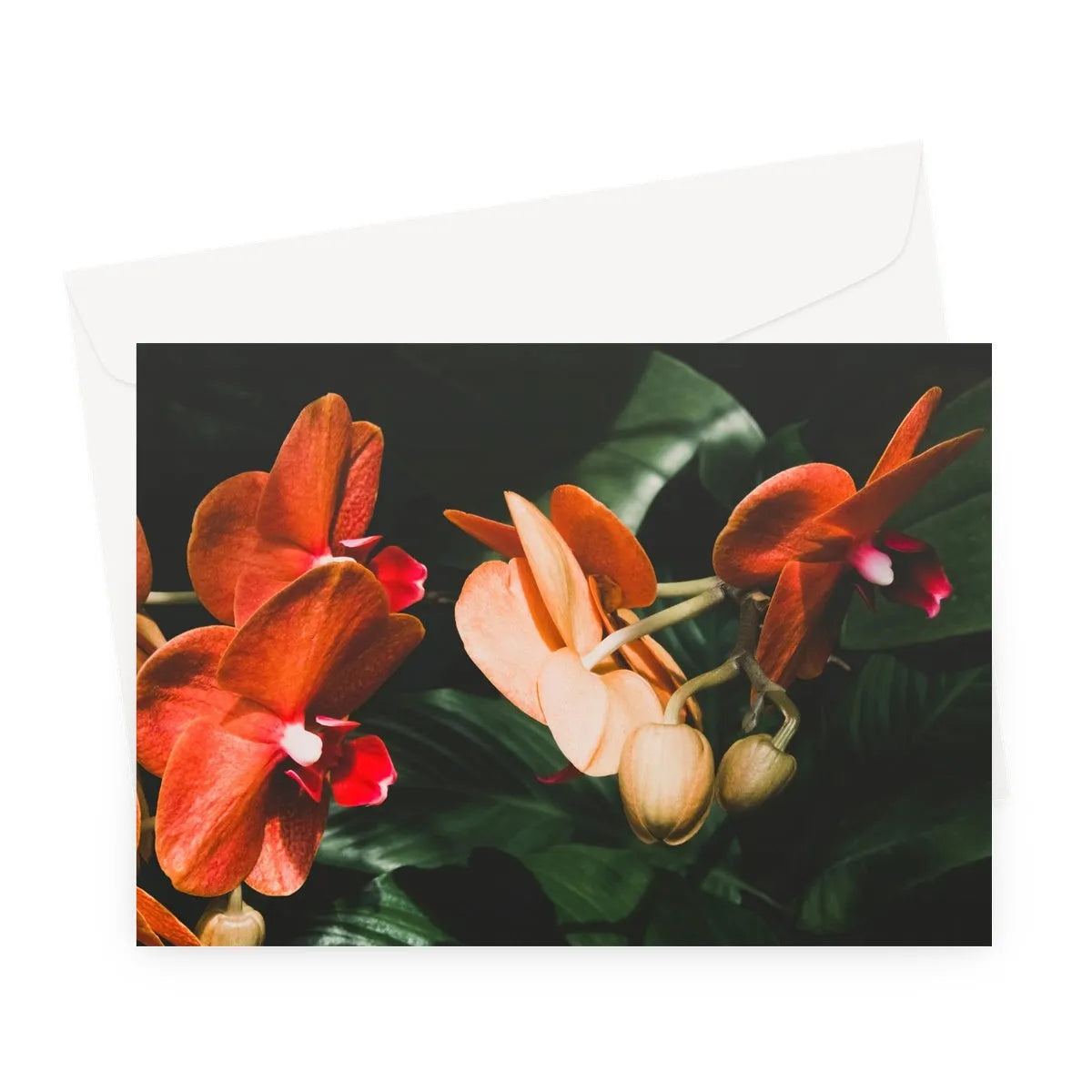 Floral Coral Greeting Card - A5 Landscape / 1 Card - Greeting & Note Cards - Aesthetic Art