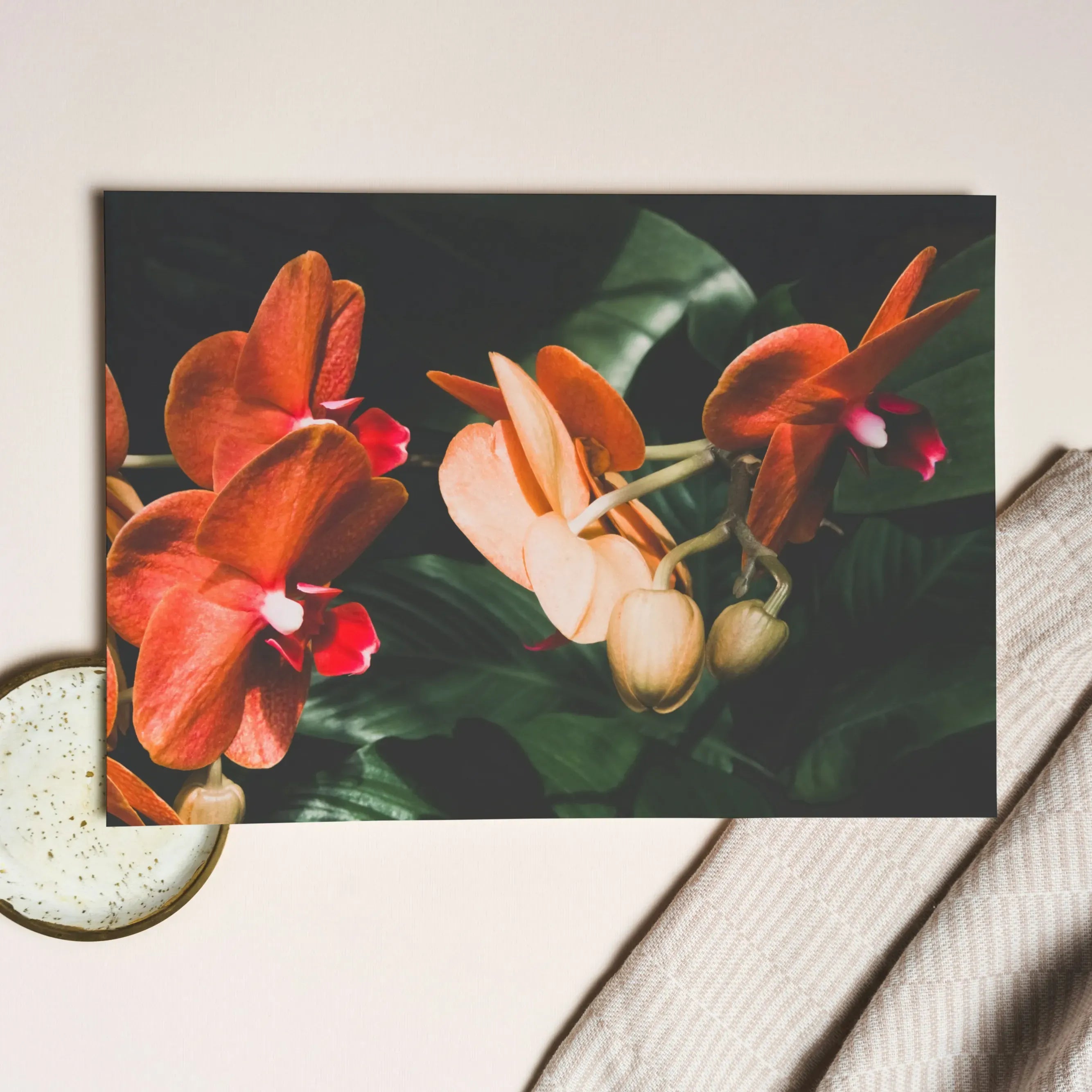 Floral Coral Greeting Card - Phalaenopsis Orchid Flower - Greeting & Note Cards - Aesthetic Art