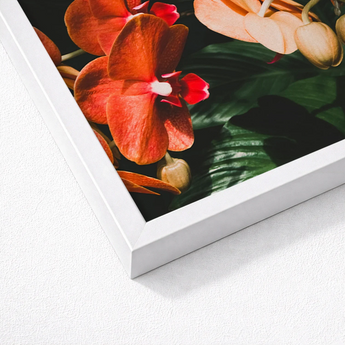 White-framed Print Vibrant Orange Red Orchids Lush Green Phalaenopsis Orchid Fine Art, Southeast Asian Floriculture, Sultry Allure