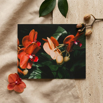 Floral Coral - Phalaenopsis Orchid Flower Art Print / Canvas Rectangular Photograph Vibrant Orange Peach Orchids Deep Green Phalaenopsis