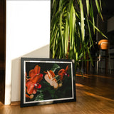 Floral Coral - Phalaenopsis Orchid Flower Art Print, Framed Photograph Orange Orchids Dark Background