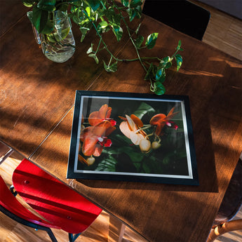 Floral Coral - Phalaenopsis Orchid Flower Art Print, Framed Photograph Orange White Koi Fish