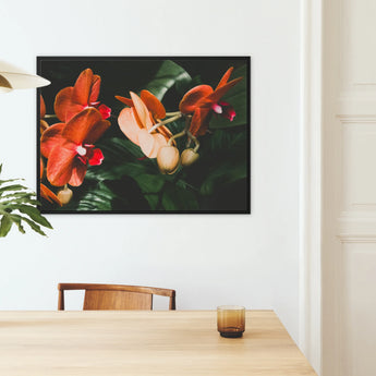 Floral Coral - Phalaenopsis Orchid Framed Canvas, Framed Floral Artwork Vibrant Red Orchids Dark Foliage
