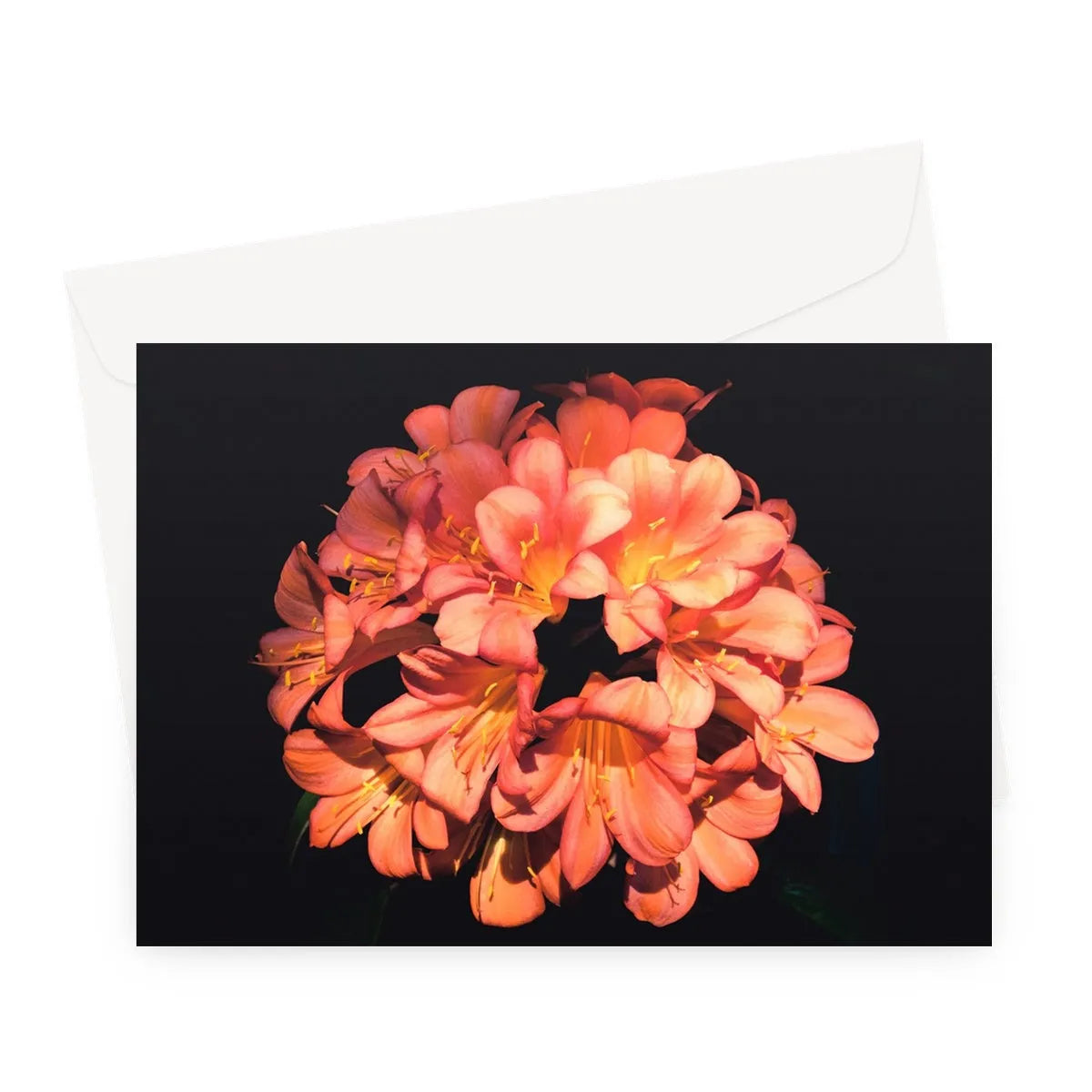 Flower Power Greeting Card - A5 Landscape / 1 Card - Aesthetic Art