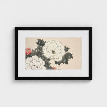 Flowers from Momoyogusa - Kamisaka Sekka Art Print / Canvas Black-framed Artwork Delicate Illustration White Red Peonies Dark Sekka’s,