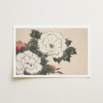 Flowers from Momoyogusa - Kamisaka Sekka Art Print / Canvas Framed Delicate Watercolor Illustration White Red Peonies Sekka’s, Prints