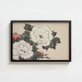 Black-framed Artwork Delicate Illustration White Red Peonies Dark Kamisaka Sekka’s Flowers, Sekka Art, Print