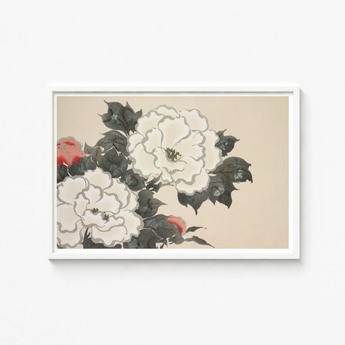 Framed Artwork Delicate Watercolor Painting White Pink Peonies Kamisaka Sekka’s Flowers, Sekka Art, Print