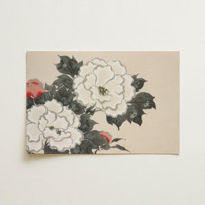 Flowers from Momoyogusa - Kamisaka Sekka Art Print / Canvas, Kamisaka Sekka’s Flowers, Kamisaka Sekka Art, Sekka Art Print
