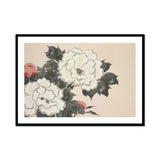 Flowers from Momoyogusa - Kamisaka Sekka Art Print, White Peonies Dark Green Leaves Traditional Japanese Ink