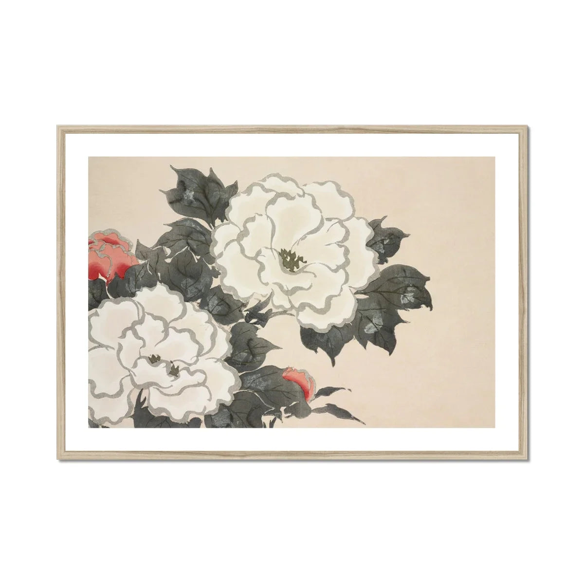 Flowers from Momoyogusa Kamisaka Sekka Art Print, White Peonies Dark Green Leaves Traditional Japanese Ink