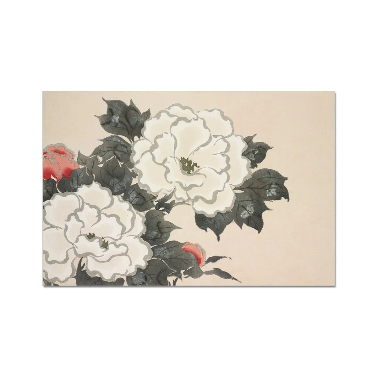 Flowers From Momoyogusa By Kamisaka Sekka Fine Art Print - 18’x12’ - Posters Prints & Visual Artwork - Aesthetic Art