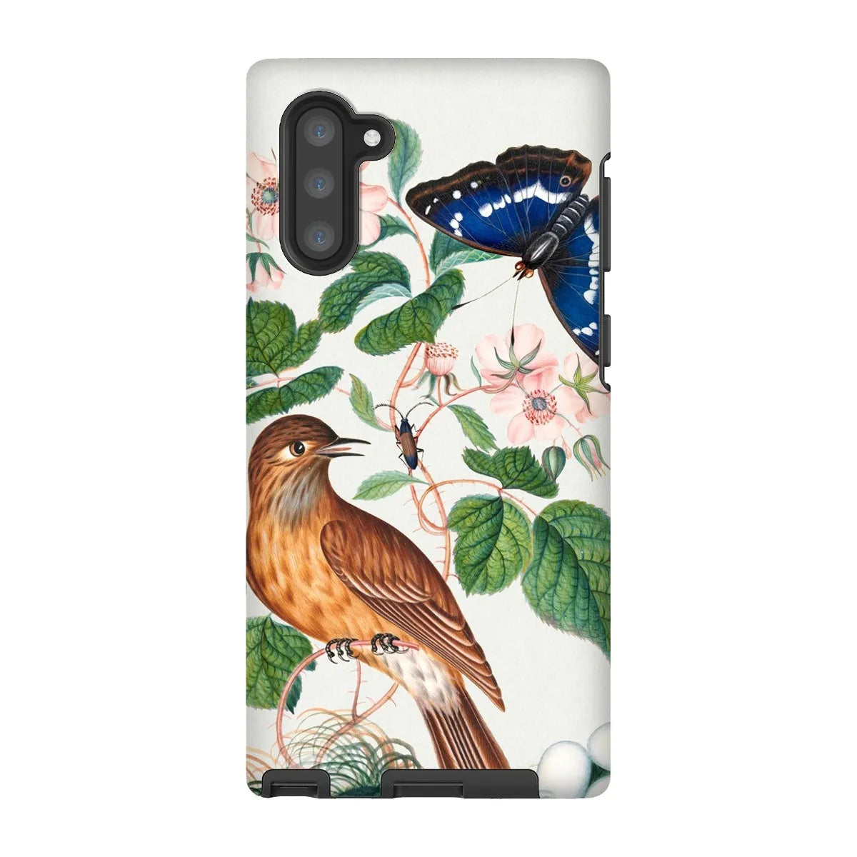 Flycatcher Emperor And Beetle - Art Phone Case - James Bolton - Samsung Galaxy Note 10 / Matte - Mobile Phone Cases