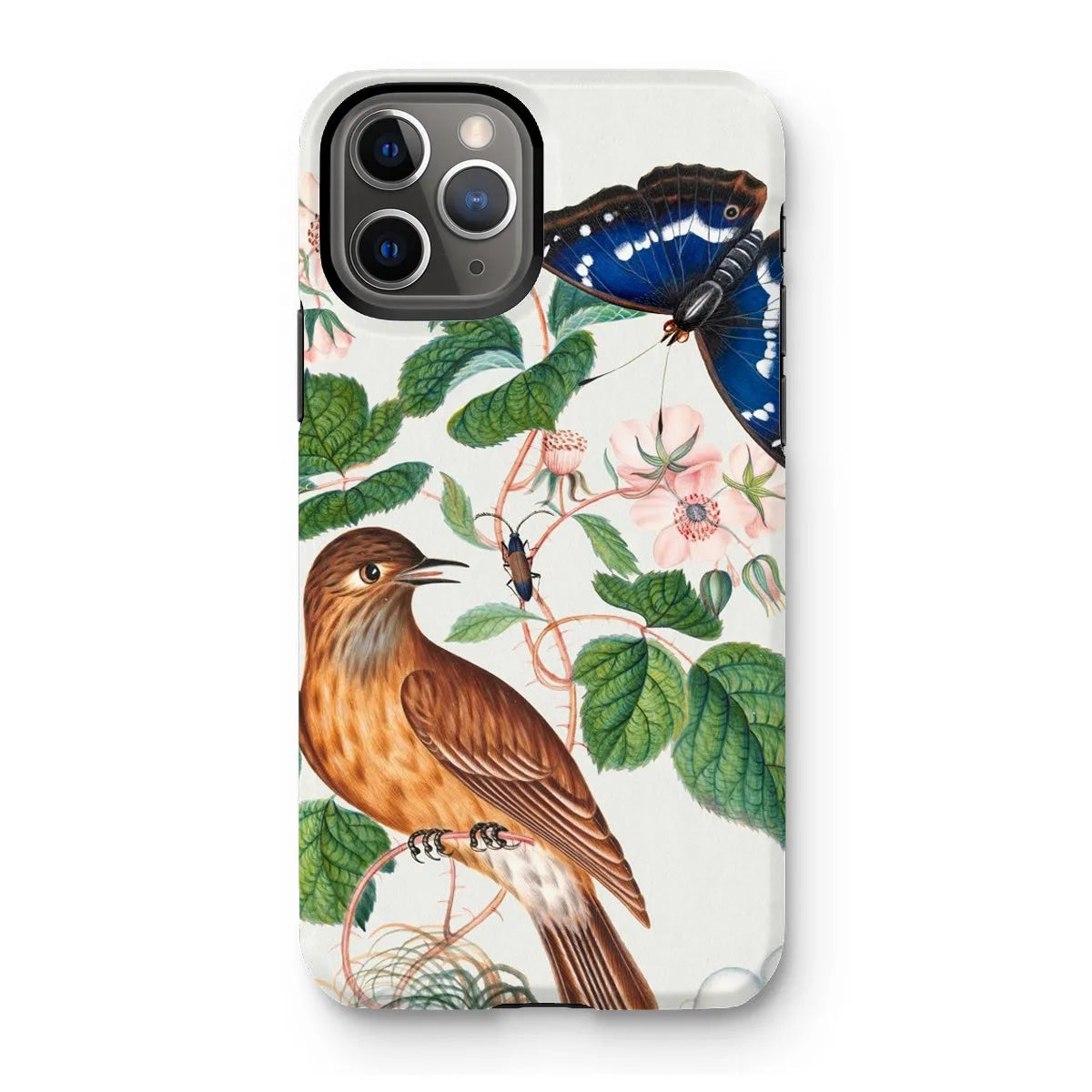 Flycatcher Emperor And Beetle - Art Phone Case - James Bolton - Iphone 11 Pro / Matte - Mobile Phone Cases - Aesthetic