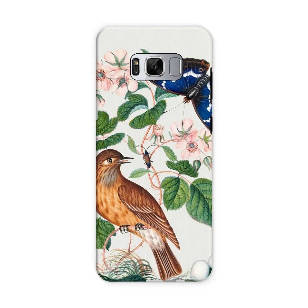 Flycatcher Emperor And Beetle - Art Phone Case - James Bolton - Samsung Galaxy S8 / Matte - Mobile Phone Cases