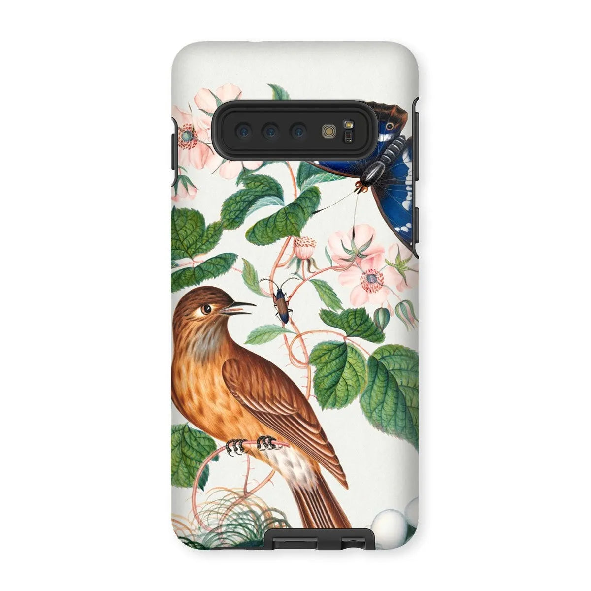 Flycatcher Emperor And Beetle - Art Phone Case - James Bolton - Samsung Galaxy S10 / Matte - Mobile Phone Cases