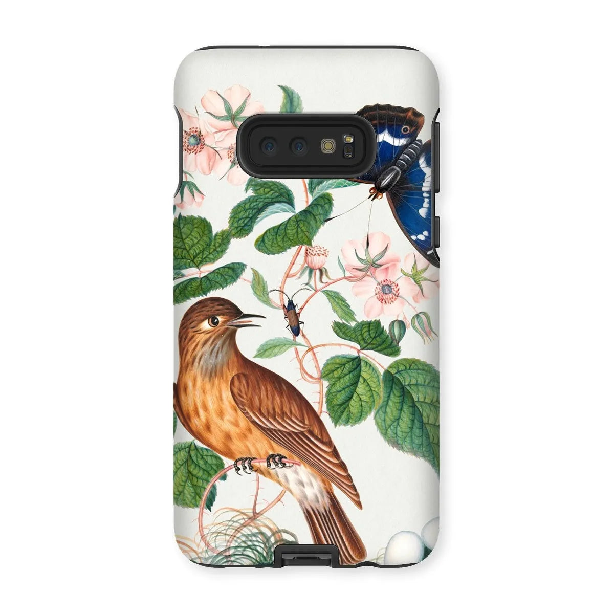 Flycatcher Emperor And Beetle - Art Phone Case - James Bolton - Samsung Galaxy S10e / Matte - Mobile Phone Cases