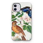 Flycatcher Emperor and Beetle - James Bolton Iphone Case, 11 / Matte, Decorative Iphone Case Nature-inspired Design Bird Butterfly Floral