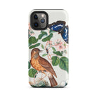 Flycatcher Emperor and Beetle James Bolton Iphone Case, 11 Pro / Matte, Bird Butterfly Patterned Phone Case