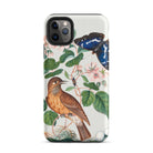 Flycatcher Emperor and Beetle James Bolton Iphone Case, 11 Pro Max / Matte, Bird Butterfly Phone Case