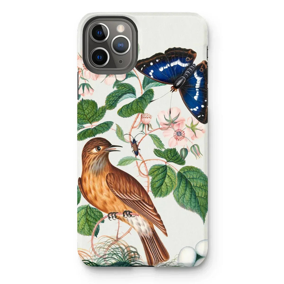 Flycatcher Emperor and Beetle - James Bolton Iphone Case, 11 Pro Max / Matte, Phone Case Nature Illustration Bird Butterfly Floral Elements