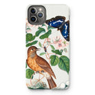 Flycatcher Emperor and Beetle - James Bolton Iphone Case, 11 Pro Max / Matte, Phone Case Nature Illustration Bird Butterfly Floral Elements