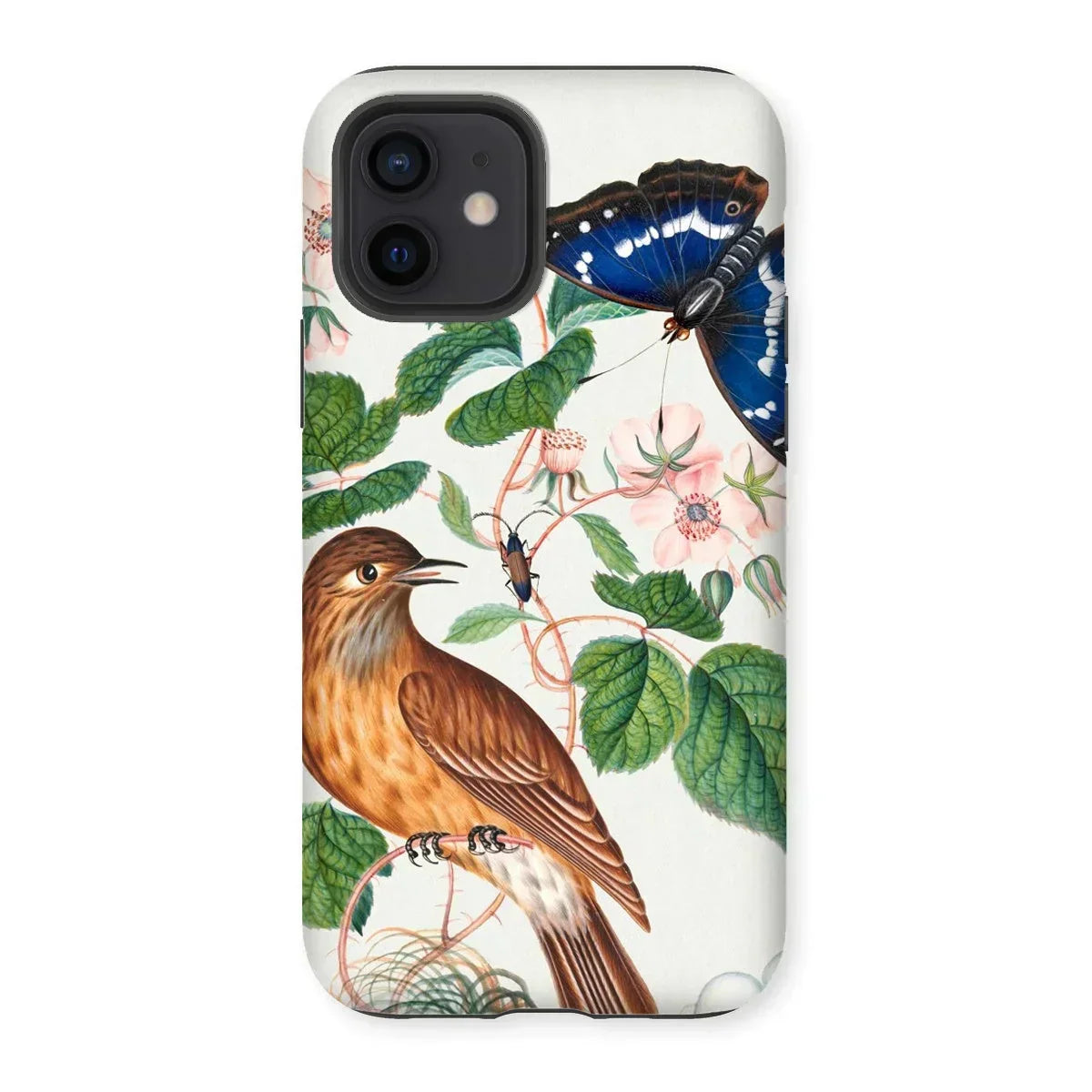 Flycatcher Emperor and Beetle - James Bolton Iphone Case, 12 / Matte, Phone Case Nature Illustration Bird Butterfly Floral Elements
