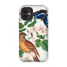 Flycatcher Emperor and Beetle - James Bolton Iphone Case, 12 Mini / Matte, Phone Case Nature Illustration Bird Butterfly Among Floral