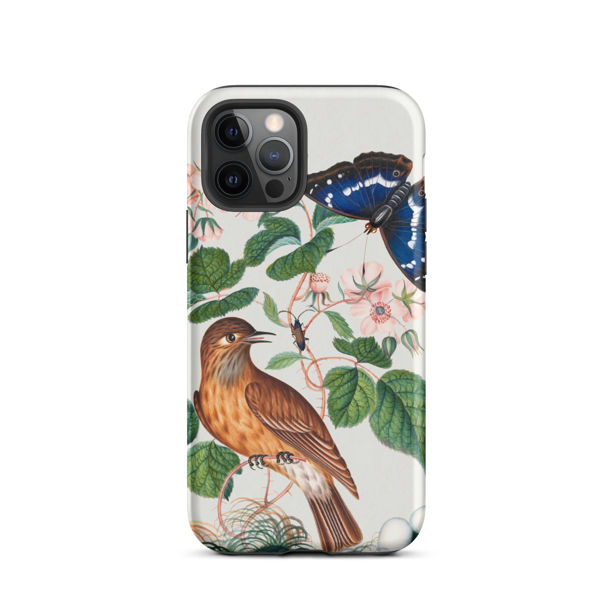 Flycatcher Emperor and Beetle James Bolton Iphone Case, 12 Pro / Matte, Bird Butterfly Phone Case